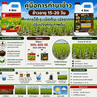 จะเด็ดสำหรับ นาข้าวอะมิโน นํ้าตาลทางด่วน สาหร่ายทะเล อาหารพืช ฮอร์โมนพืช