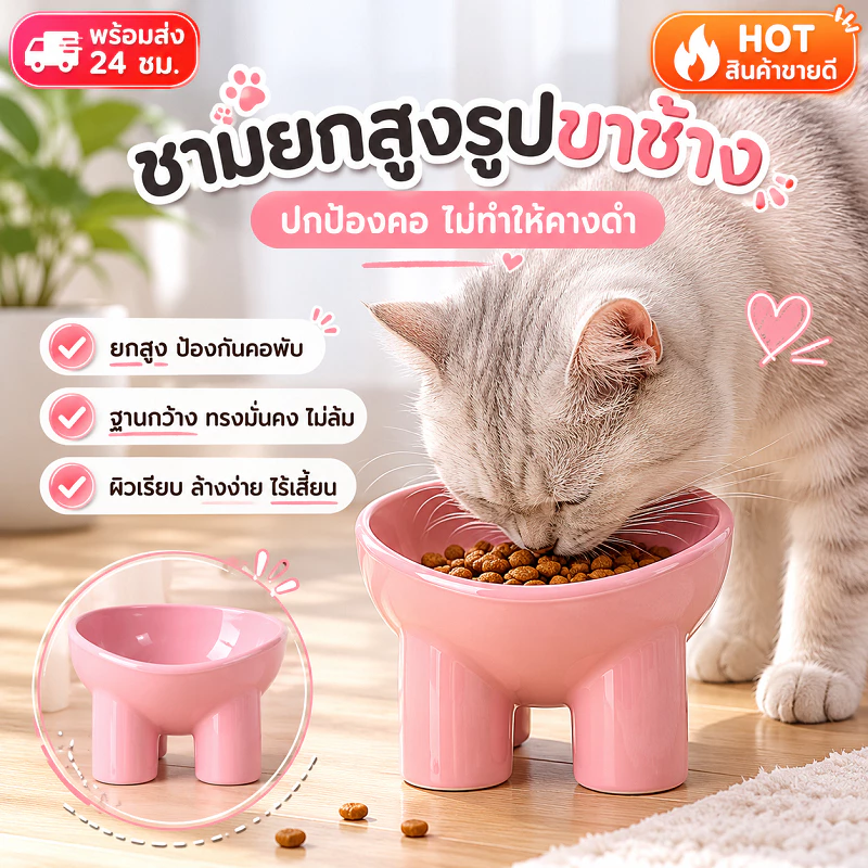 ชามอาหารสัตว์เลี้ยง ทรงเฉียง กันมด แมวและสุนัข