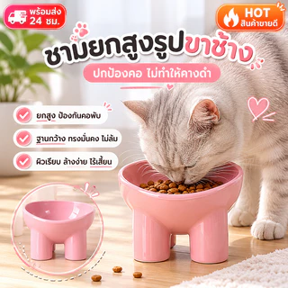 ชามกันมด แมว ชามอาหารแมว ชามอาหารสัตว์เลี้ยง ทรงเฉียง ชามอาหารสุนัข ที่วางอาหารสัตว์เลี้ยง เครื่องให้อาหารสัตว์เลี้ยง