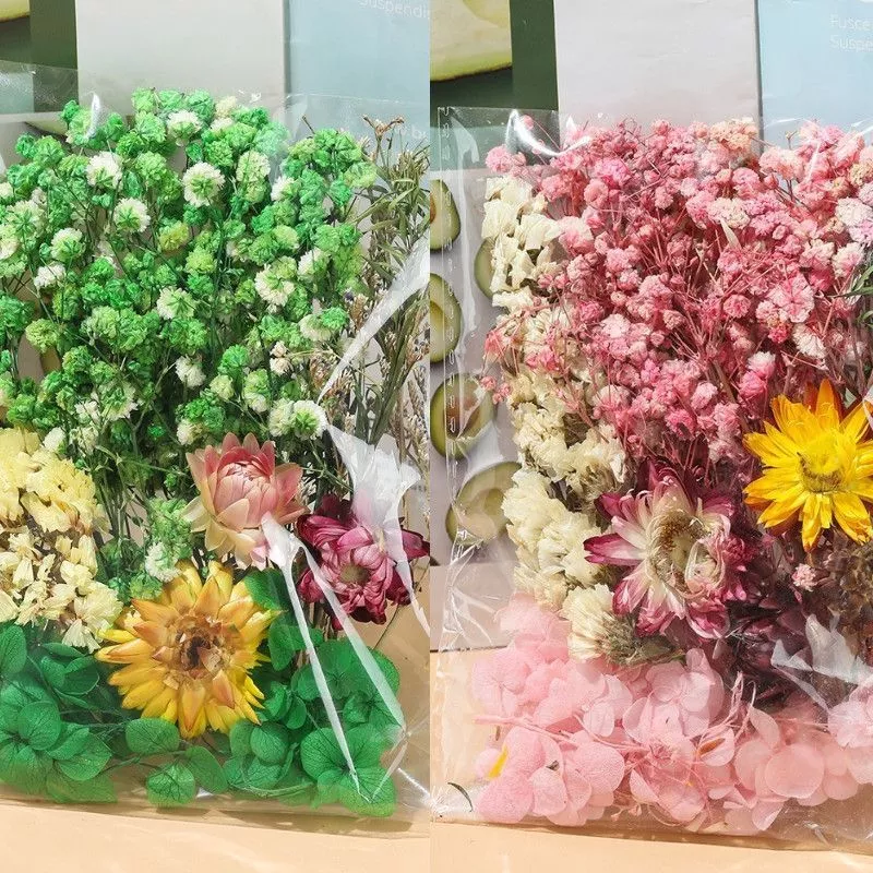 ดอกไม้อบแห้ง ดอกไม้จริงทับแห้ง คละแบบ สำหรับงาน DIY thumbnail 6