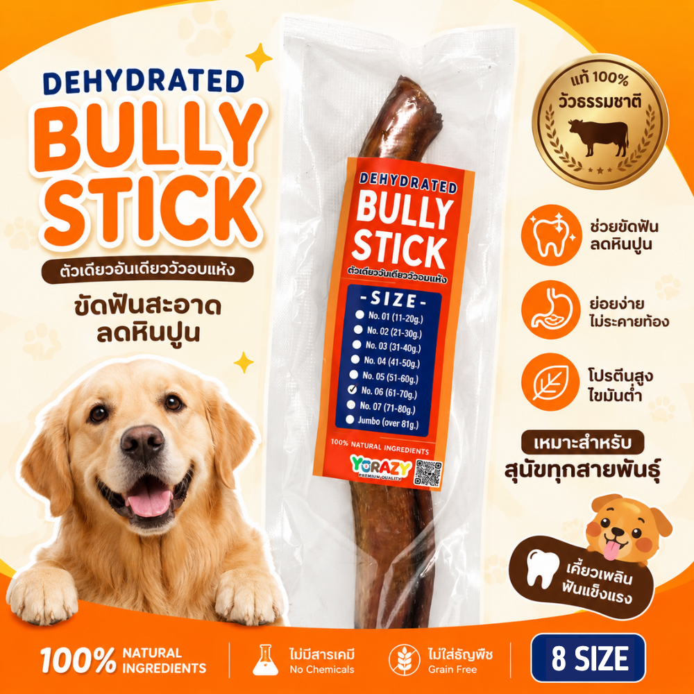 YCrazy Bully Stick - ตัวเดียวอันเดียววัว อบแห้ง ขนมหมา ขัดฟัน