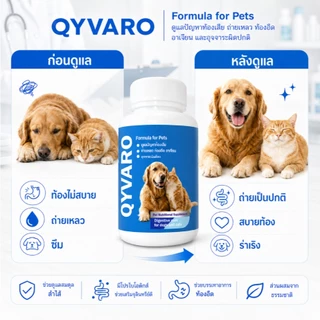 QYVARO โปรไบโอติก ท้องเสีย ถ่ายเหลว ท้องอืด เสริมสมดุลลำไส้ สุนัข แมว ทุกสายพันธุ์ ระบบทางเดินอาหาร