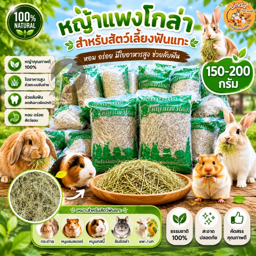 (ยกแพ็ค) หญ้าแพงโกล่า 1แพ็ค12ถุง สำหรับ สัตว์เลี้ยงกินพืชทุกชนิดหรือหมาะสำหรับทำรังให้สัตว์เลี้ยง (ขนาดต่อถุง200กรัม)