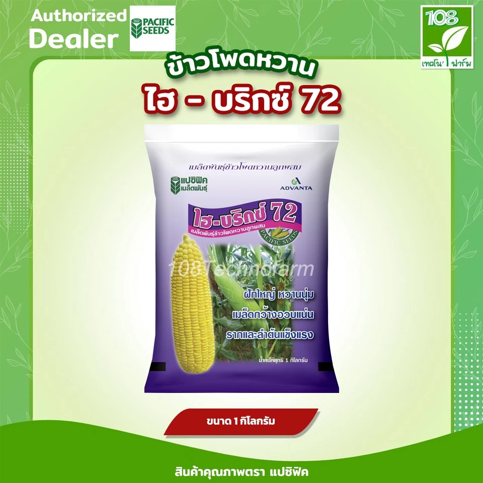 เมล็ดพันธุ์ข้าวโพดหวาน ไฮบริกซ์ 72 (1 กิโลกรัม) ตราแปซิฟิค