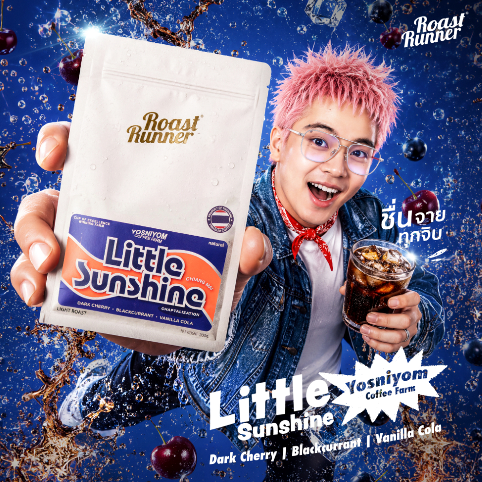 [ ใหม่ ] Little Sunshine Chaptalization Coffee Beans  (Light Roast) ฉลากน้ำเงิน