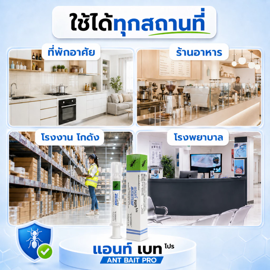 แอนท์เบทโปร ANT BAIT PRO เจลมด ของแท้ มี อย. thumbnail 8
