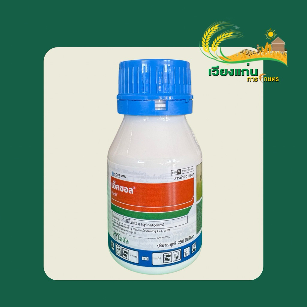 เอ็กซอล (Exalt) | 250 cc
