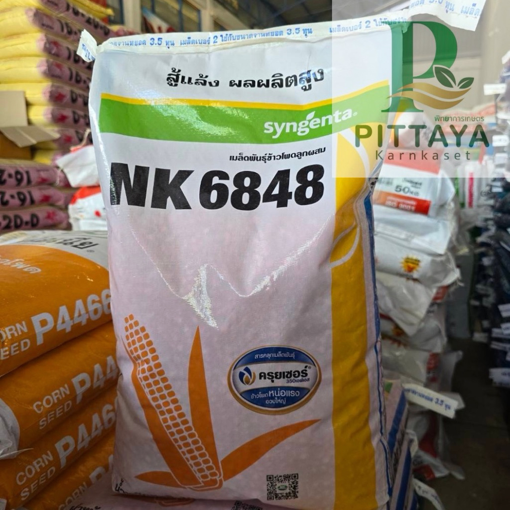 ข้าวโพดเอ็นเค 6848 ( NK 6848 ) ขนาด 10 กิโลกรัม - ทนแล้ง น้ำหนักดี ปลูกถี่ได้