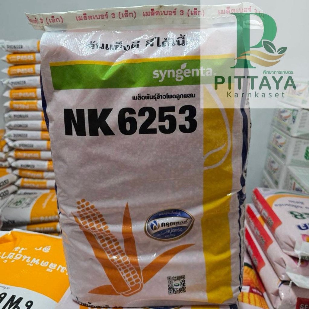 ข้าวโพดเอ็นเค 6253 ( NK 6253 ) ขนาด 10 กิโลกรัม - ต้นแข็ง สีได้เนื้อ เก็บสดดี เก็บแห้งได้