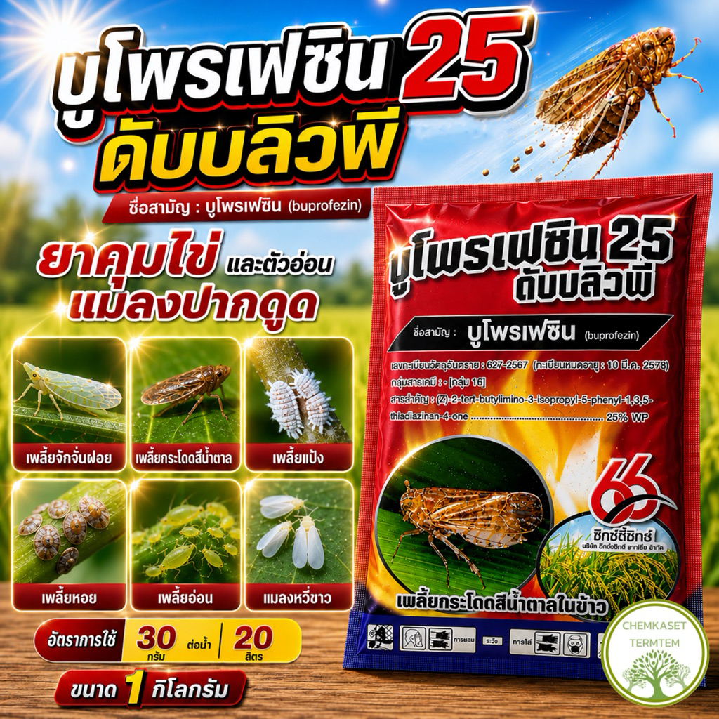 บูโพรเฟซิน25% 66 สินค้าผลิตใหม่ 1 กิโลกรัม ป้องกันกำจัดเพลี้ยกระโดด คุมไข่เพลี้ย แมลงหวี่