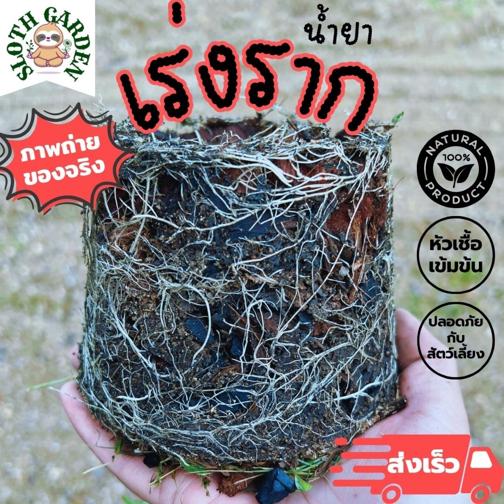 [ส่งเร็ว] น้ำยาเร่งราก หัวเชื้อเข้มข้น เร่งรากไว ปลอดเคมี สำหรับต้นกุหลาบ ไม้ดอก ไม้ด่าง แคคตัส ไม้ขุดล้อม ต้นไม้ทุกชนิด