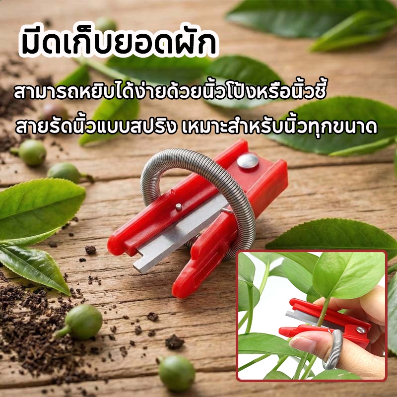 อุปกรณ์เก็บเกี่ยว มีดสวมนิ้วสำหรับเก็บผลไม้ มีดเก็บยอดผัก เหมาะสำหรับเก็บองุ่น พริก แตงกวา ถั่วฝักยาว และต้นกล้าชา