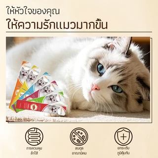 จัดส่งฟรี🔥 PAWZA PET ขนมแมวเลีย15g*100ซอง อาหารเปียกแมว คละรส ปลาทูน่า/ไก่/เนื้อวัว/ปลาค็อด/ปลาแซลมอน และไก่/ไก่และกุ้ง
