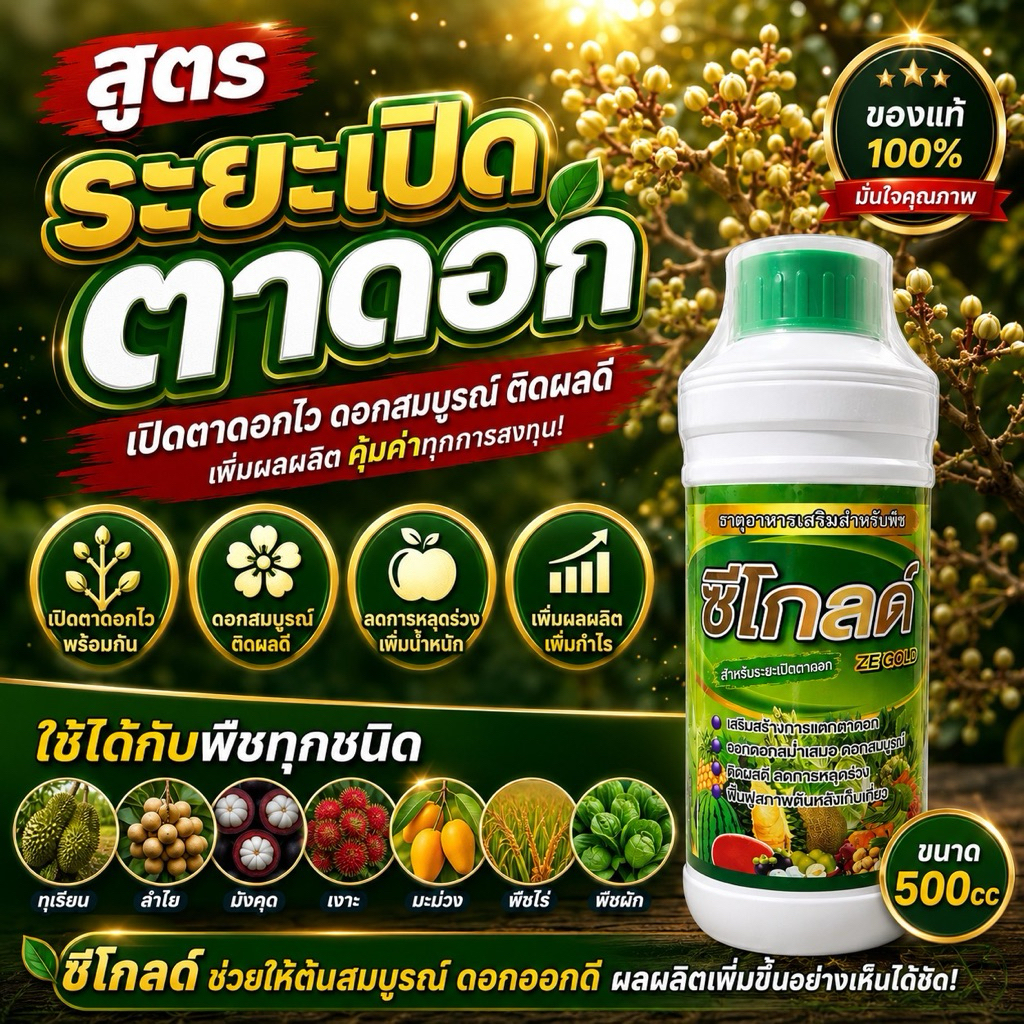 ซีโกลด์ สูตรระยะเปิดตาดอก เปิดตาดอกไว ดอกสมบูรณ์ ติดผลดี เพิ่มผลผลิตอย่างเห็นได้ชัด
