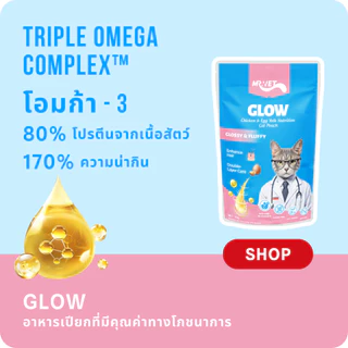 Mr.Vet อาหารแมวเปียก 12 แพ็ค แบบผสม ของขวัญอาหารแมวคริสต์มาสและปีใหม่
