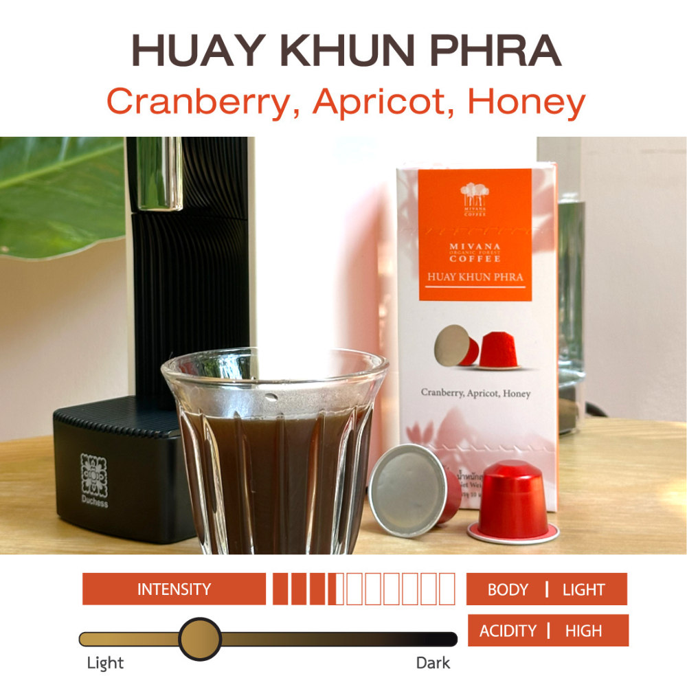 กาแฟมีวนา แคปซูล . ห้วยคุณพระ - กาแฟออร์แกนิกอาราบิก้า (Yellow Catuai) 55g. (Capsule Light Roast)