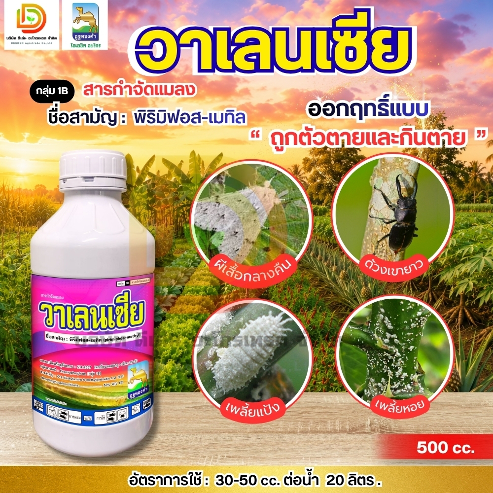 วาเลนเซีย #พิริมิฟอส พิริมิฟอส-เมทิล50% กำจัดเพลี้ยแป้ง เพลี้ยหอยเกล็ดขาว ขนาด 500 ซีซี #ดีเด่นอะโกรเทรด
