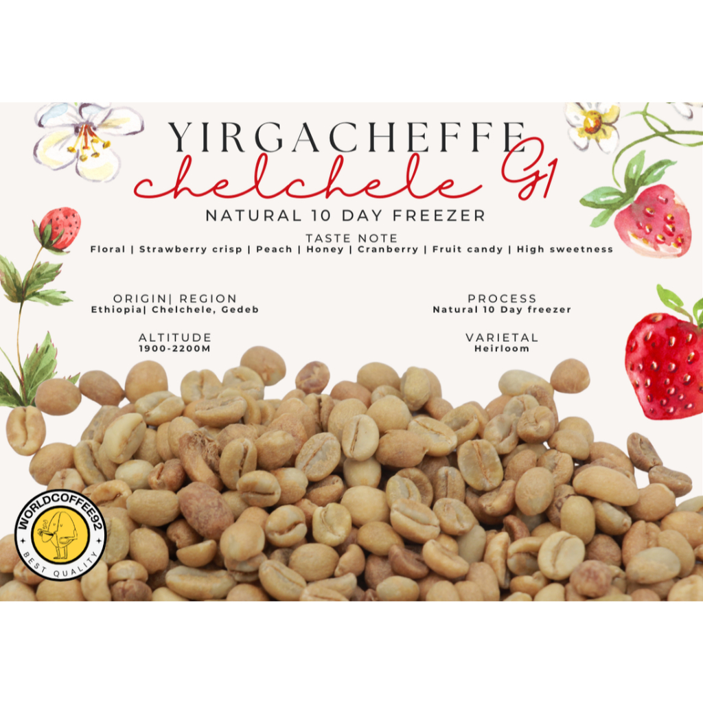 🚚พร้อมส่ง💯 เมล็ดกาแฟดิบ Yirgacheffe Chelchele G1 Natural 10 days freezer process/ เมล็ดกาแฟนอก/ เมล็ดกาแฟสารเอธิโอเปีย