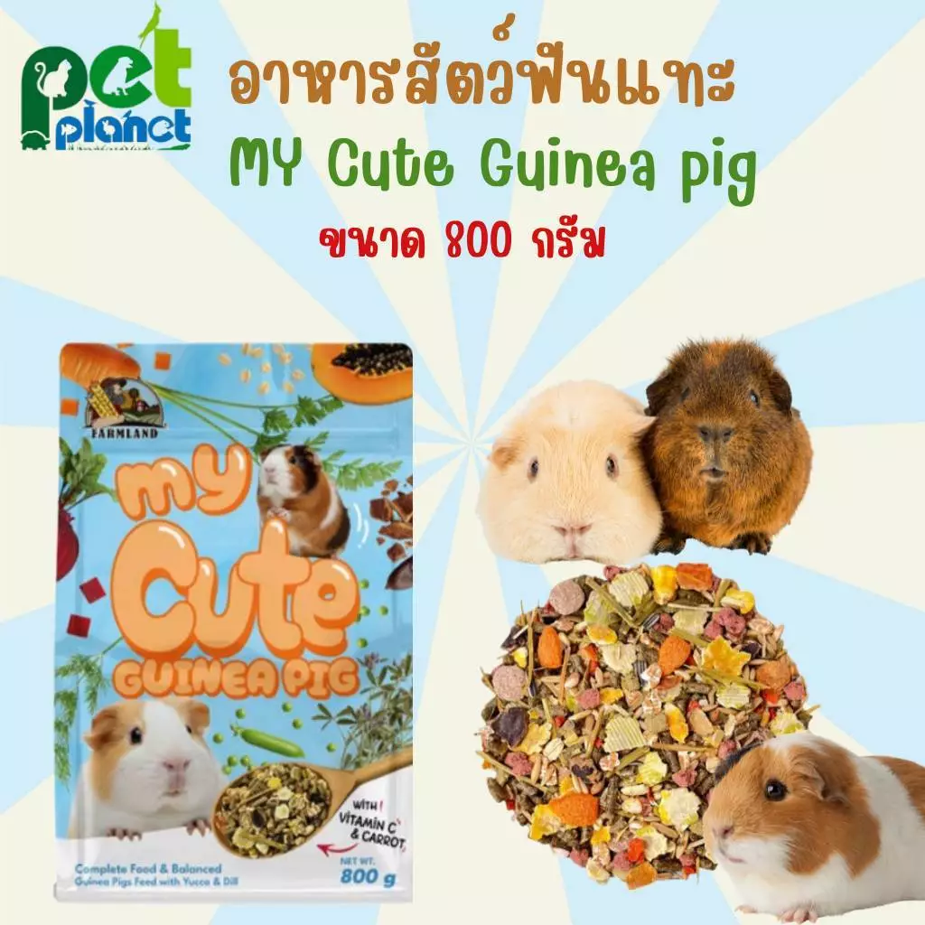 [800g.] อาหารหนูตะเภา My Cute Puinea Pig อาหารสำหรับ หนู หนูตะเภา หนูแกสบี้ สัตว์ฟันแทะ กระต่าย