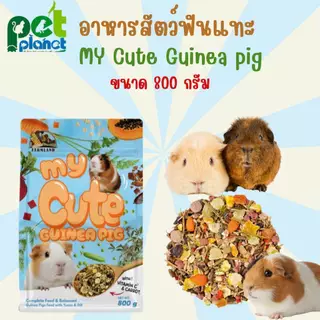 [800g.] อาหารหนูตะเภา My Cute Puinea Pig อาหารสำหรับ หนู หนูตะเภา หนูแกสบี้ สัตว์ฟันแทะ กระต่าย