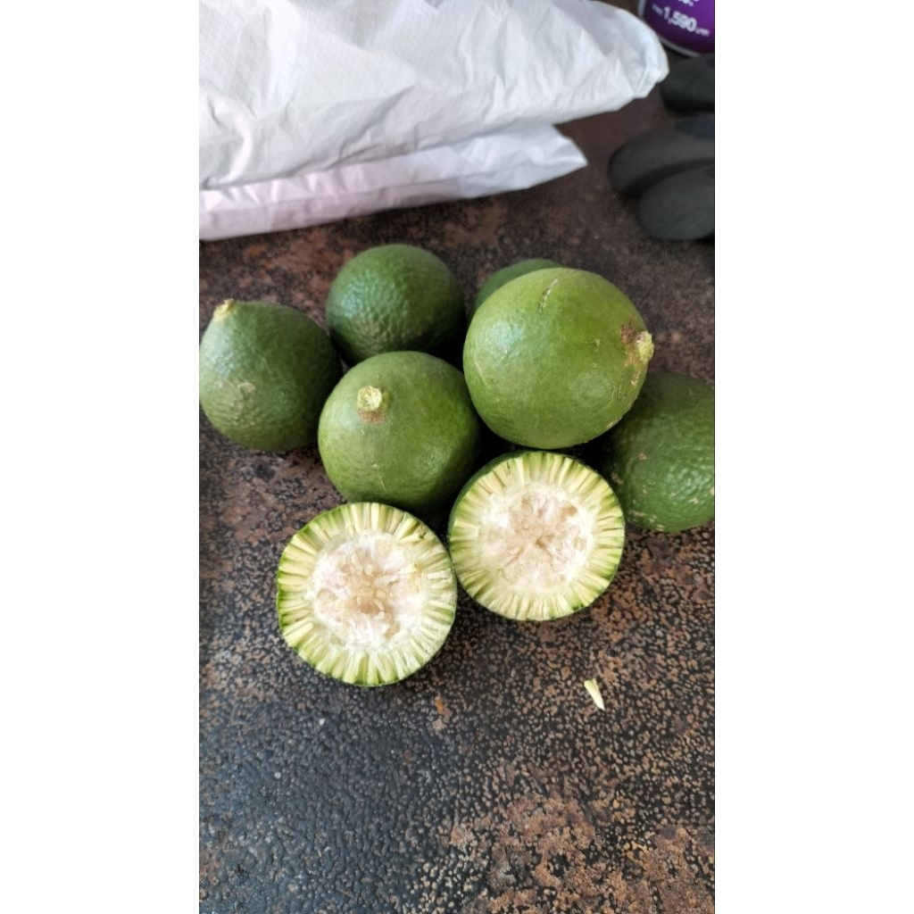 ผลมะสังอ่อน ลูกมะสัง ใช้รับประทานได้ ลูกละ 5 บาทต
