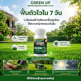 Green UP START สำหรับหญ้าปลูกใหม่ หลังตัดหญ้า เร่งรากหญ้า หญ้าติดดี ฟื้นตัวไว แก้หญ้าโทรมหน้าร้อน