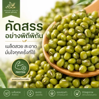 ถั่วเขียว Green Mung Beans ชนิดคัดพิเศษ เมล็ดใหม่ สดใหม่ | ต้มง่าย เปื่อยนุ่ม | ธรรมชาติ 100% ไม่ใช้สารเคมี
