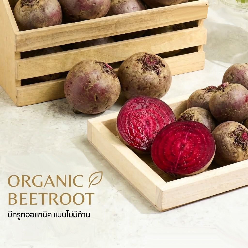 บีทรูทออแกนิค แบบไม่มีก้าน Beetroot