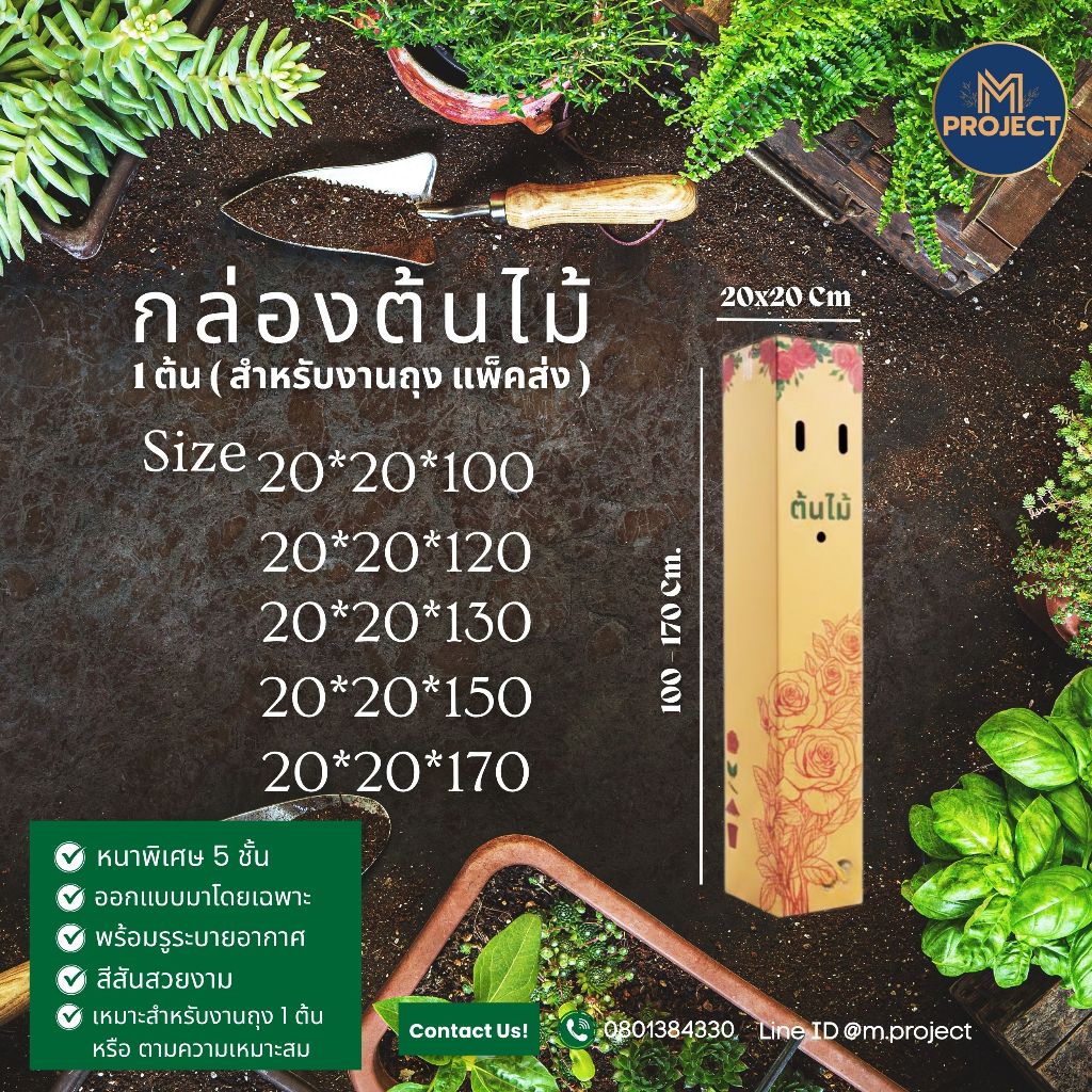 กล่องต้นไม้ขนาด 20*20 ความสูงตั้งแต่ 100-170 ซม. แพ็ค 10 ใบ ( ควาหมนา 5ชั้น ) แข็งแรง กันกระแทกได้ดี