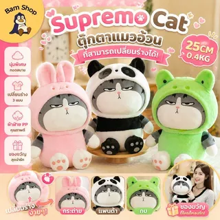 ส่งจากไทย💥ตุ๊กตาแมว ตุ๊กตาแมวอ้วน ที่สามารถเปลี่ยนร่างได้ ตุ๊กตาตัวใหญ่ กบแมวตุ๊กตา My Royal Wan