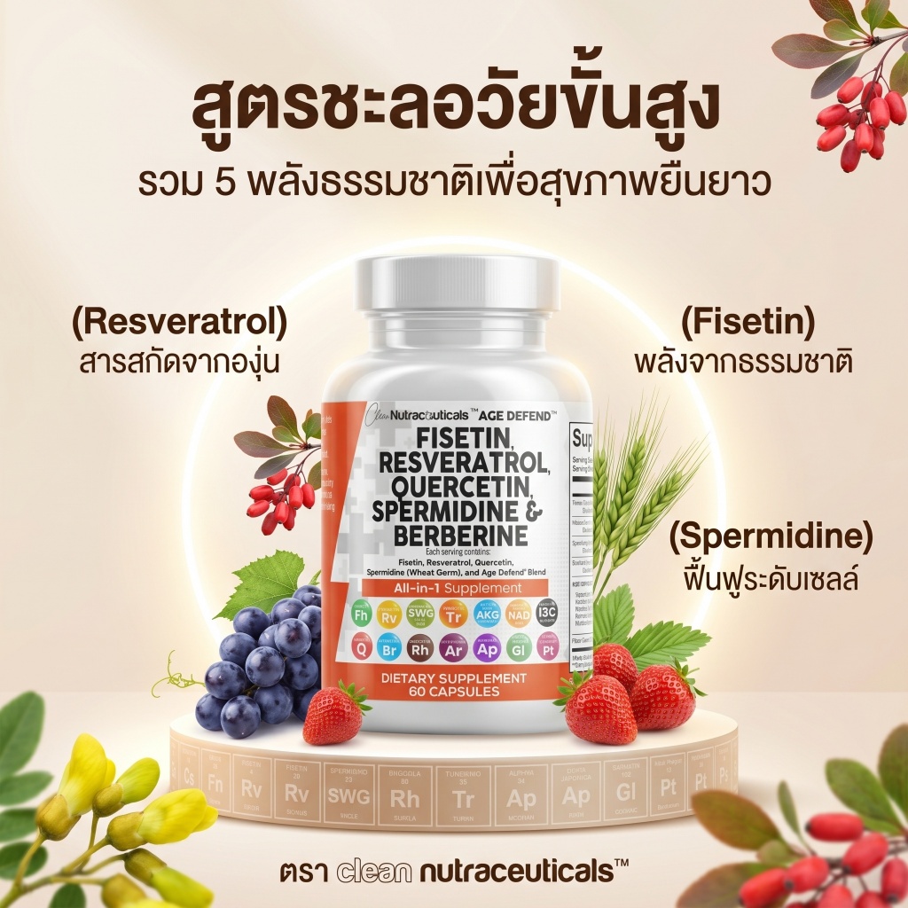 Clean Nutra Fisetin Quercetin Resveratrol Spermidine NAD เบอร์เบอรีน Apigenin 60 แคปซูล ชะลอวัย ลดการอักเสบ ฟื้นฟูเซลล์