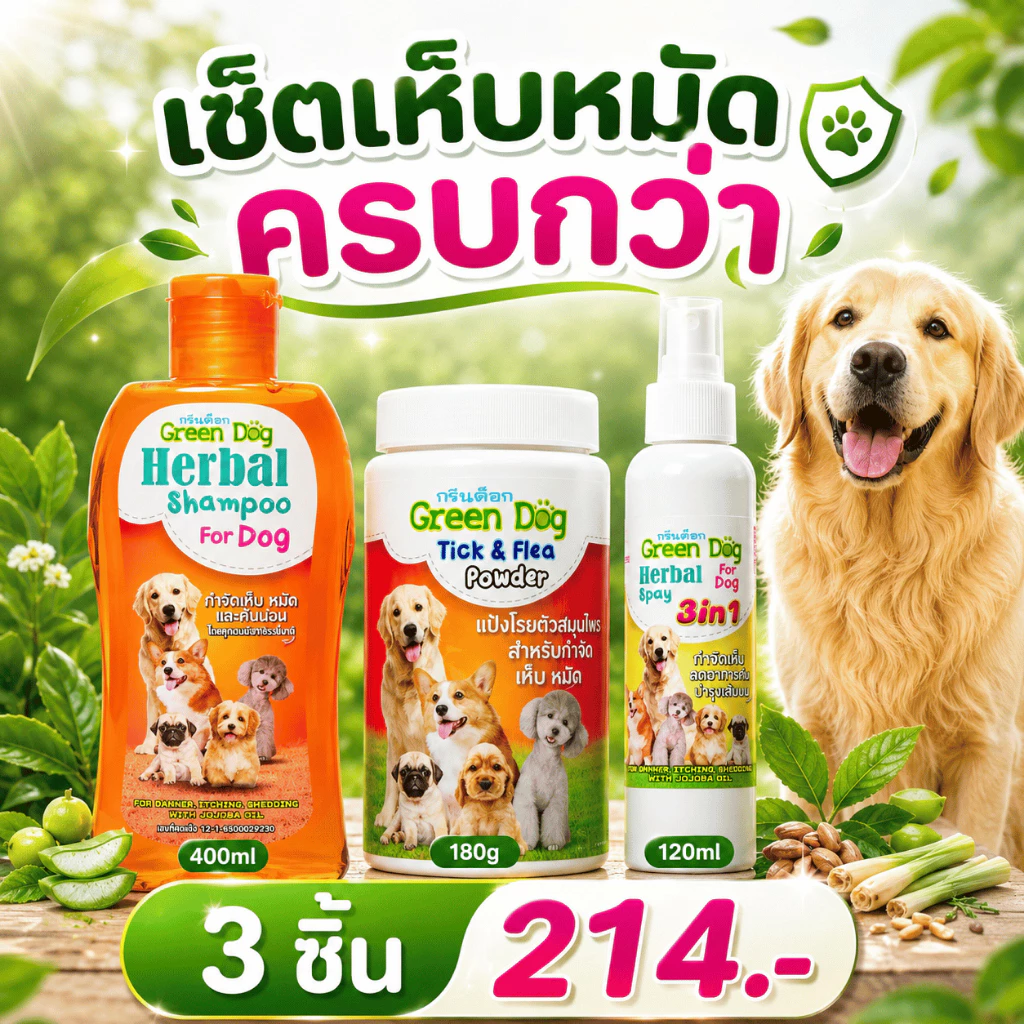 [เซ็ต 3 ชิ้น] เห็บหมัดครบกว่า แชมพูกำจัดเห็บหมัด 400ml + แป้งกำจัดเห็บหมัด 180g + สเปรย์ 3in1 สำหรับสุนัข Green Dog