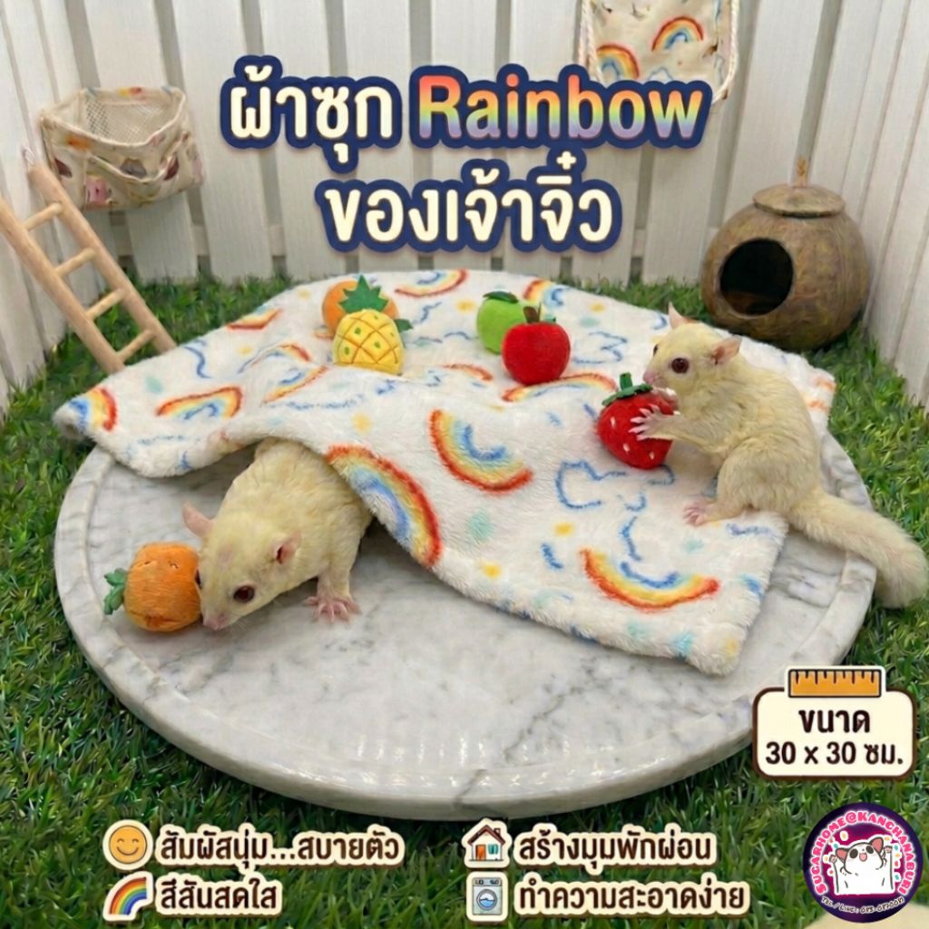 ผ้าซุก Rainbow สุดนุ่มนิ่มของเจ้าจิ๋ว (30 ซม.)