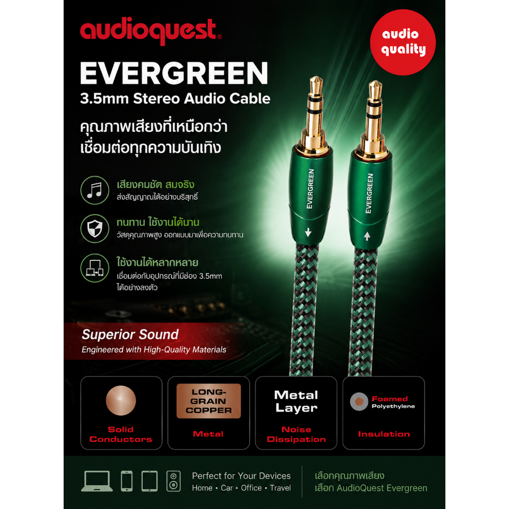AudioQuest EVERGREEN (3.5mm to RCA)