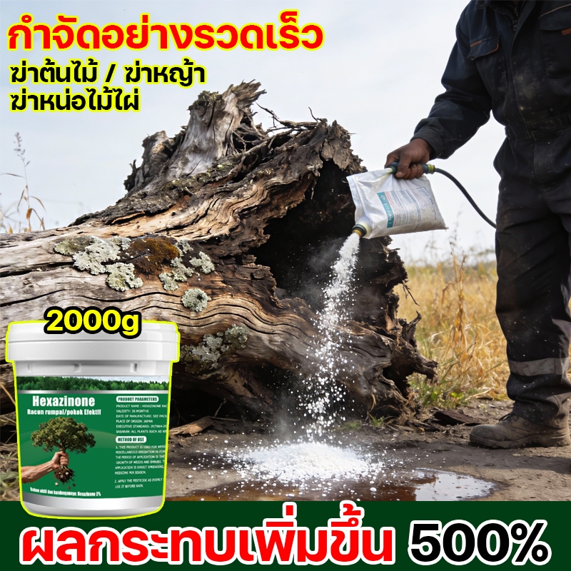 🌲ซื้อ 3 แถม 1🌲ยาฆ่าต้นไม้ใหญ เข้มข้นสุด 500g ตรงไปที่ราก ยาฆ่าตอไม้ใหญ่บอ ยาฆ่าตอต้นไม้ ยาฆ่าหญ้า