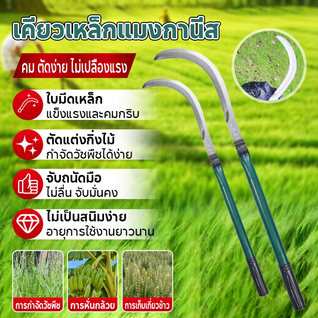 เคียวด้ามยาว 60/80 ซม. ใบมีดคม แข็งแรงทนทาน น้ำหนักเบาและใช้งานสะดวกสบาย ผลิตจากเหล็กแมงกานีส ใช้สำหรับตัดหญ้า ฯลฯ