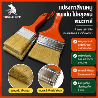 MUSCLE COW แปรงทาสีขนสัตว์แท้ 1-4" ด้ามทน ขนแปรงหนา ทาสีเรียบ ทนทาน สำหรับงานทาสี ตกแต่ง