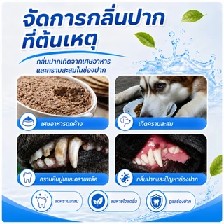 PETWELL น้ำยาบ้วนปาก สำหรับสัตว์เลี้ยง 380ml ลดคราบหินปูน แก้ปัญหากลิ่นปาก สำหรับสุนัขและแมว