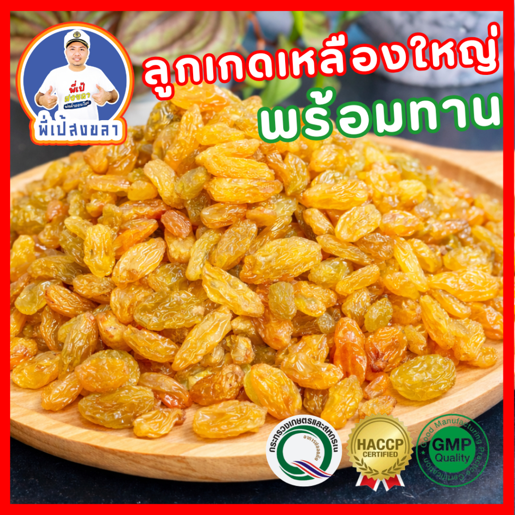 ลูกเกดเหลืองสีทอง เม็ดใหญ่ ไร้เมล็ด อบแห้งพร้อมทาน