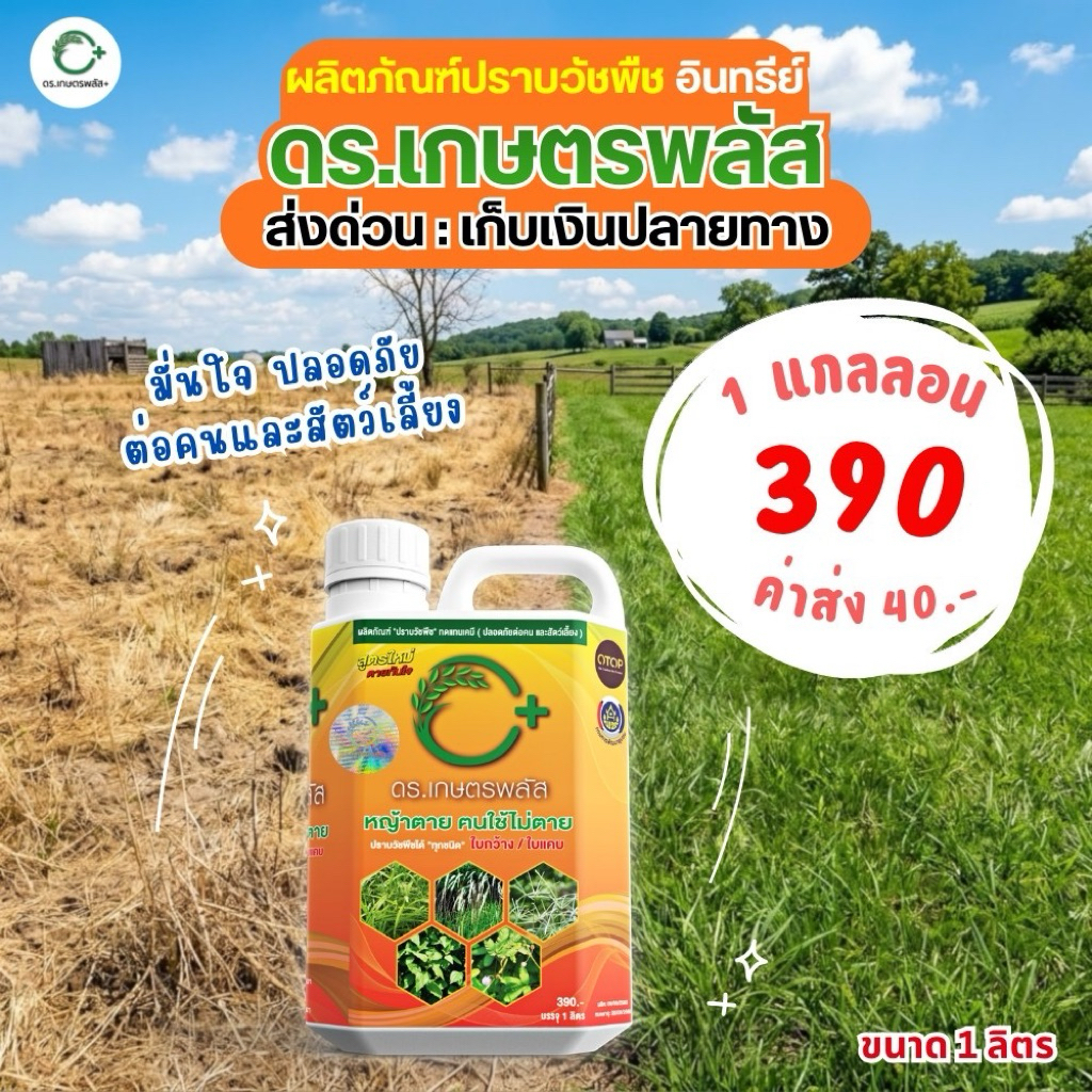 ♻️คุ้ม 1 แกลลอน : 390 บาท ✅ผลิตภัณฑ์ "ปราบวัชพืช" ทดแทนเคมี ✅ผลิตจากธรรมชาติ โดยทีมงาน ดร.เกษตร