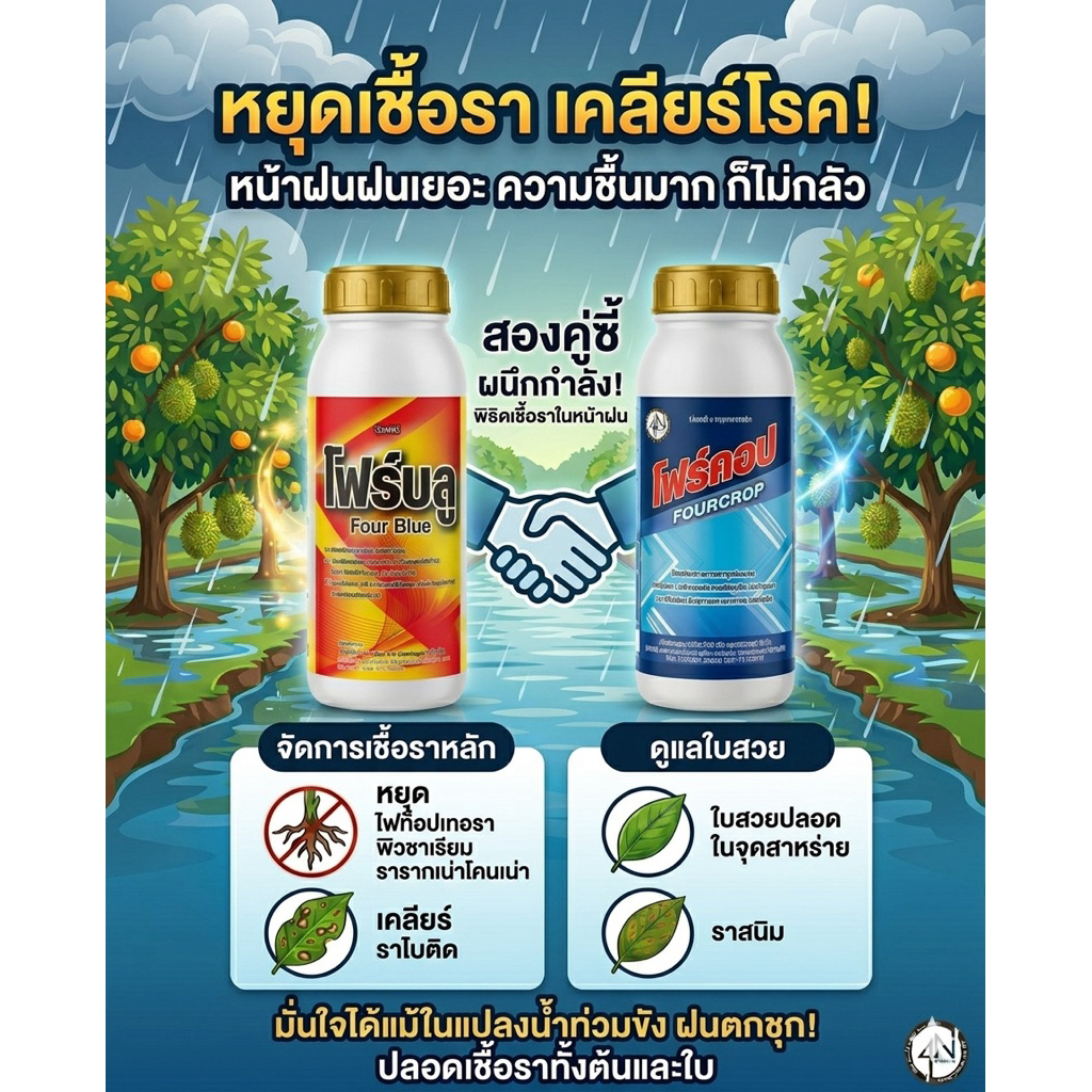คู่ซี้ หยุดเชื้อรา เคลียร์โรค (โฟร์คอป 1 ลิตร+โฟร์บลู 1 ลิตร) ในช่วงหน้าฝน เพื่อให้ต้นไม้แข็งแกร่งจากโรค