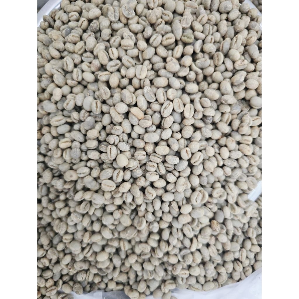 เมล็ดกาแฟสารพีเบอรี่ ผาฮี้อาราบิก้า 100% process washed