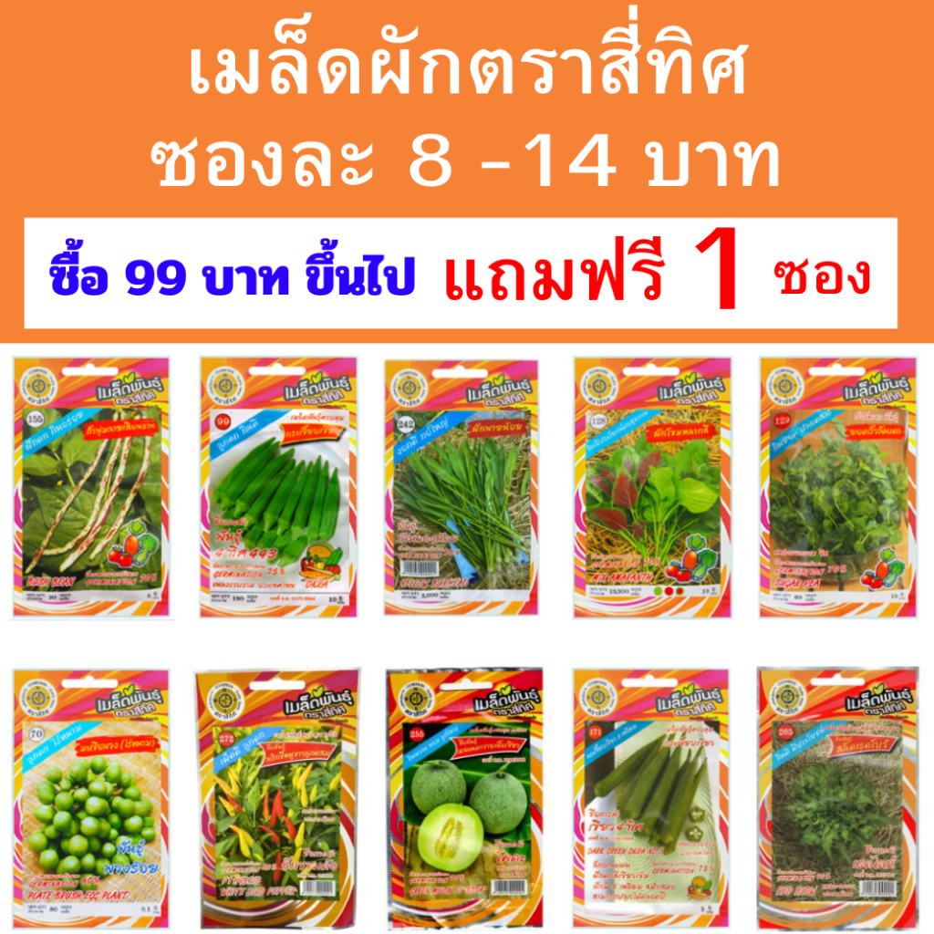 เมล็ดพันธุ์ผักสวนครัวสี่ทิศ เซ็ท 2 ซองละ 8-14 บาท ซื้อ 99 บาทขึ้นไปแถมฟรี 1 ซอง