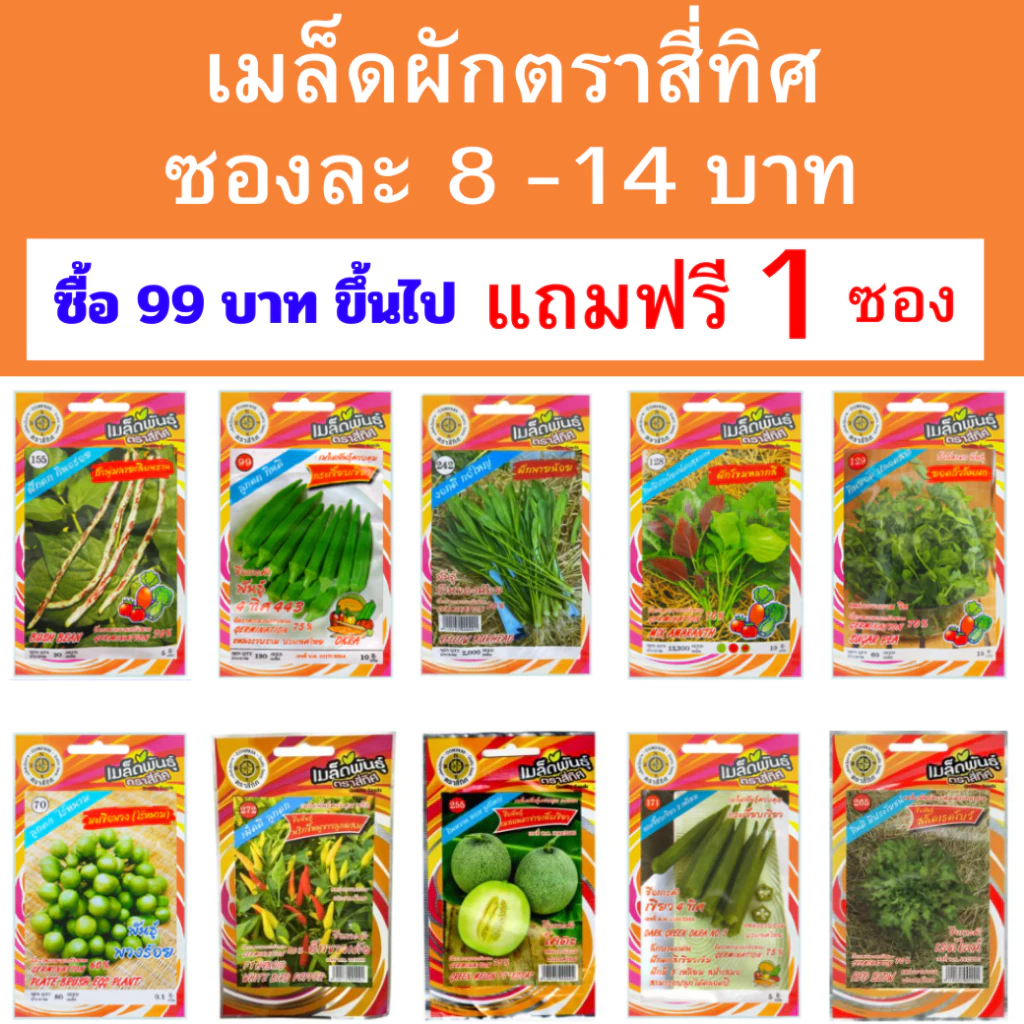 เมล็ดพันธุ์ผักสวนครัวสี่ทิศ เซ็ท 2 ซองละ 8-14 บาท ซื้อ 99 บาทขึ้นไปแถมฟรี 1 ซอง