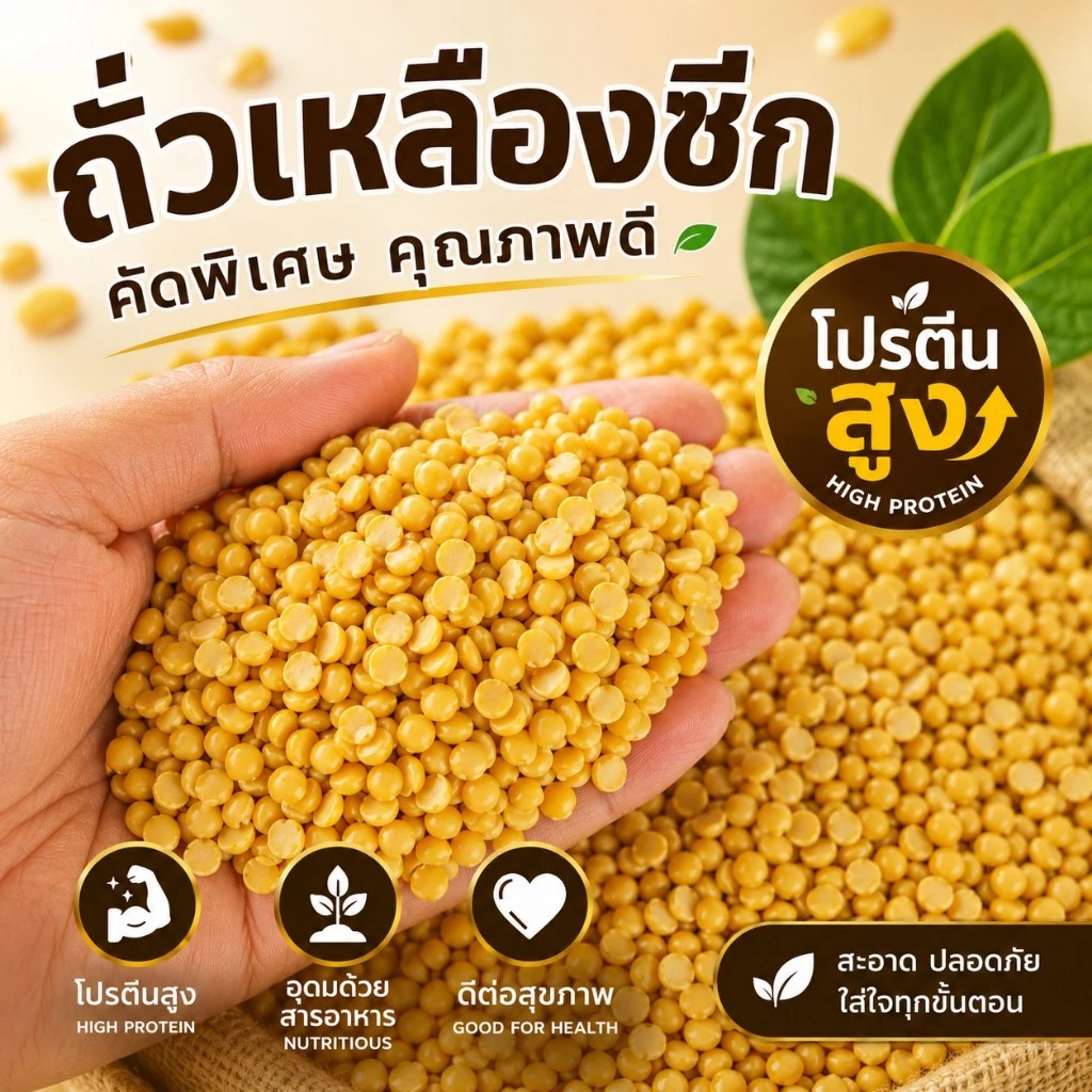 ถั่วเหลืองซีก คัดพิเศษ 5/10/30 กก. โปรตีนสูง สำหรับทำน้ำเต้าหู้ เต้าหู้ นมถั่วเหลือง