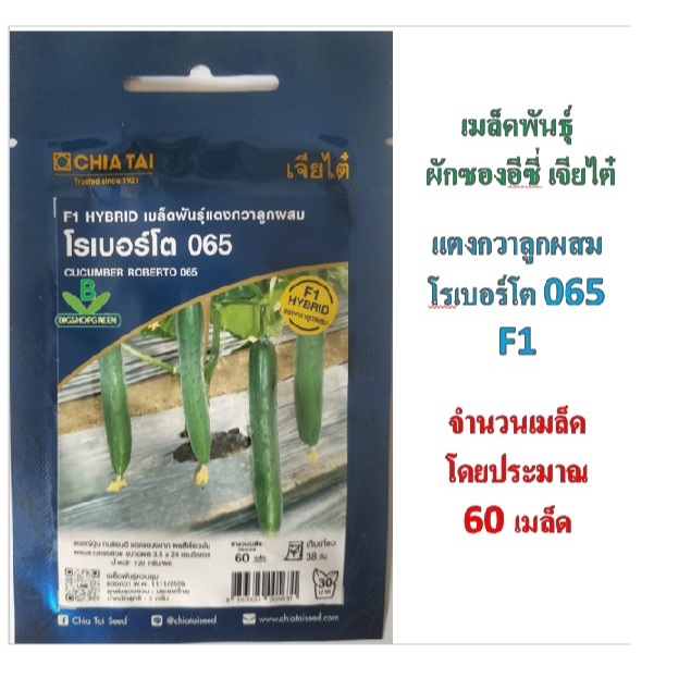 5 ฟรี 1 คละได้ทั้งร้าน เมล็ดพันธุ์ ผักซองอีซี่ F1 แตงกวา โรเบอร์โต เจียไต๋ อัตราการงอกสูง