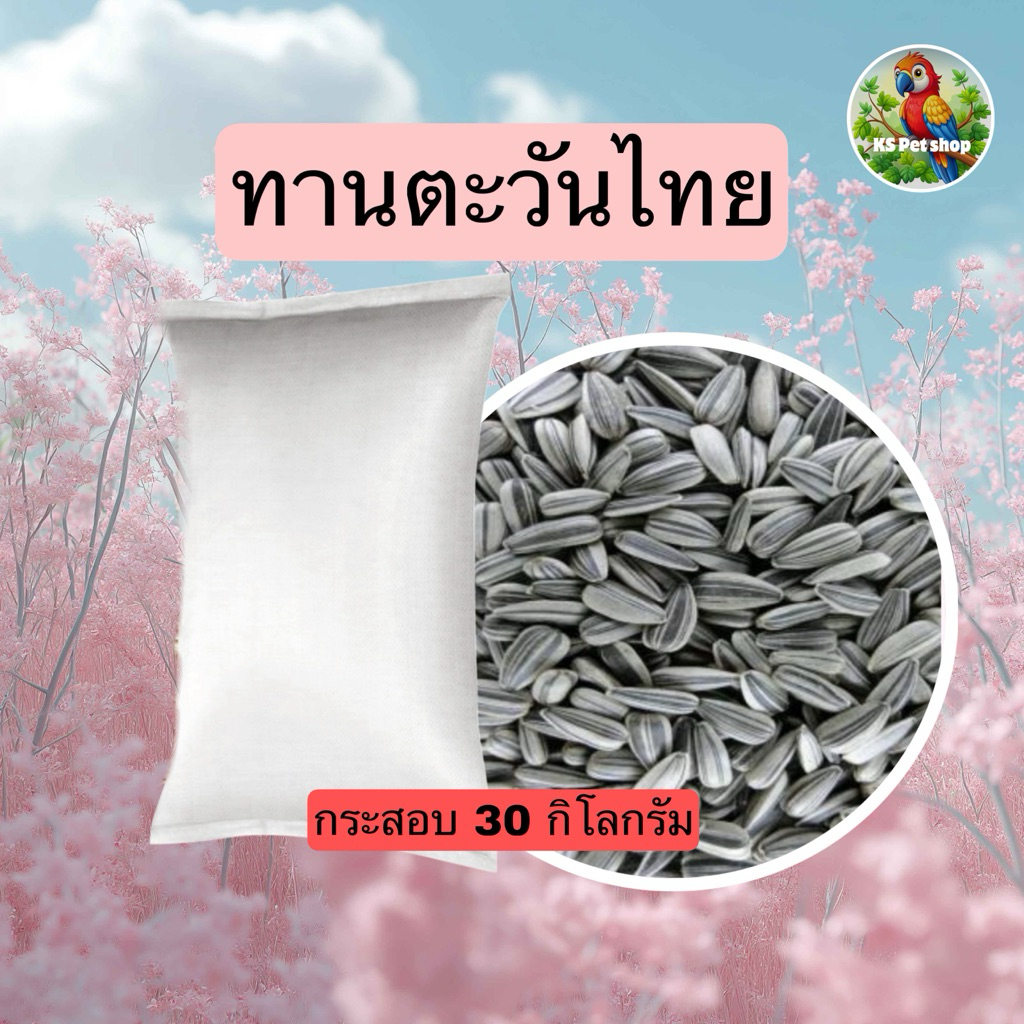 เมล็ดทานตะวันลายไทย 1กิโลกรัมสำหรับนกและสัตว์เลี้ยง