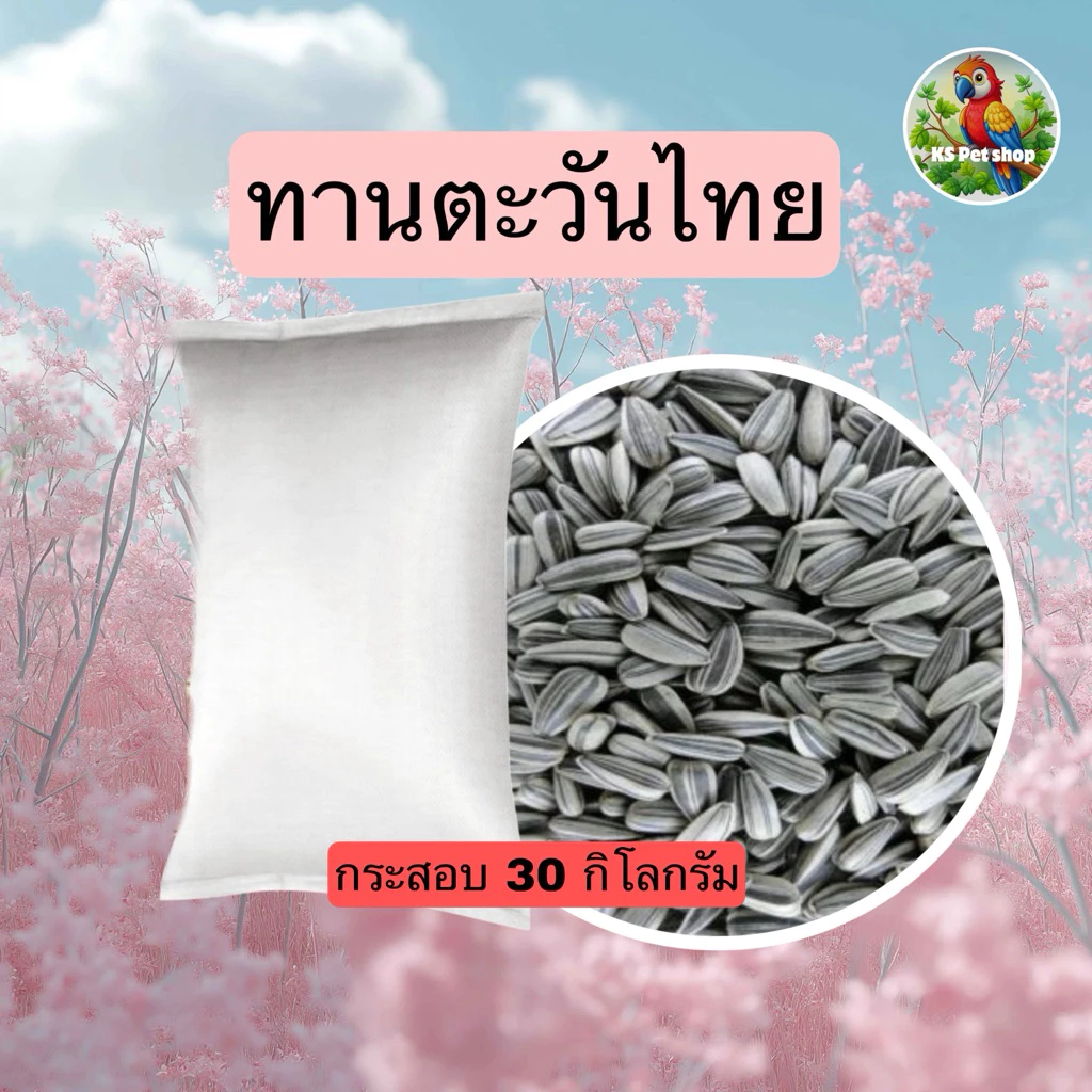 เมล็ดทานตะวันลายไทย 1กิโลกรัมสำหรับนกและสัตว์เลี้ยง