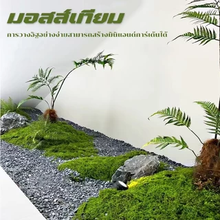 มอสปลอมสีเขียวธรรมชาติ ขนาด 1x1 เมตร ใช้งานง่าย ตัดแต่งได้ตามต้องการ เหมาะกับงาน DIY ถ่ายภาพสินค้า และจัดสวน