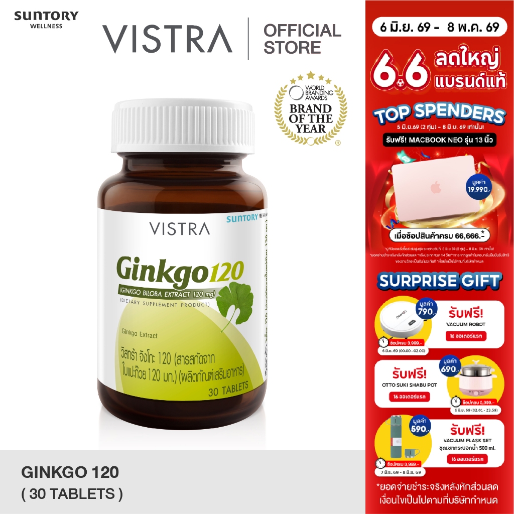 VISTRA Ginkgo สารสกัดจากใบแปะก๊วย 120 Ml. (30 เม็ด) 27 กรัม